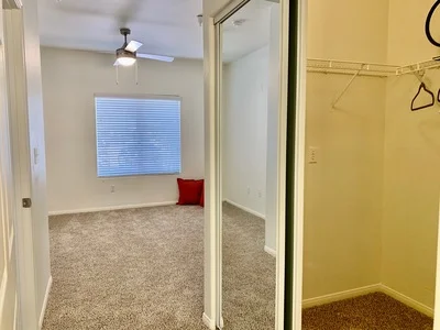 Bedroom showing neutral carpet and closet space